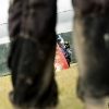 20110623-untitled-2131