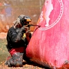propaintball-wcppl-oceanside-91